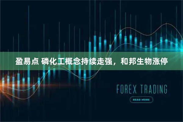 盈易点 磷化工概念持续走强，和邦生物涨停