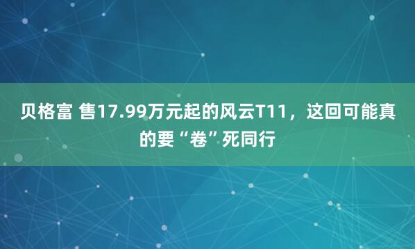 贝格富 售17.99万元起的风云T11,这回可能真的要“卷”死同行